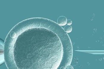 试管婴儿发展时间（试管婴儿目前的发展状况）